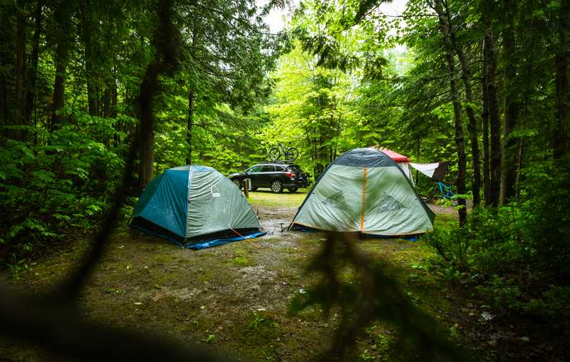 Two tents and a car in the woods